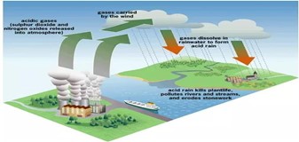 Đề giữa kì 1 Hoá học 11 năm 2023 – 2024 trường THPT Nguyễn Văn Cừ-Quảng Nam 103