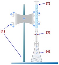 Đề giữa kì 1 Hoá học 11 năm 2023 – 2024 trường THPT Trần Hưng Đạo-Hải Phòng 109
