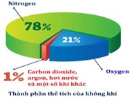 Đề cuối kì 1 Hoá học 11 năm 2023 – 2024 trường THPT Thống Nhất A-Đồng Nai 132