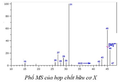 Đề cuối kì 1 Hoá học 11 năm 2023 – 2024 trường THPT Thống Nhất A-Đồng Nai 134